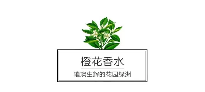 巴黎世家香水 巴黎世家从不坑穷人!8千2塑料袋卖断货,设计师到底在想什么?