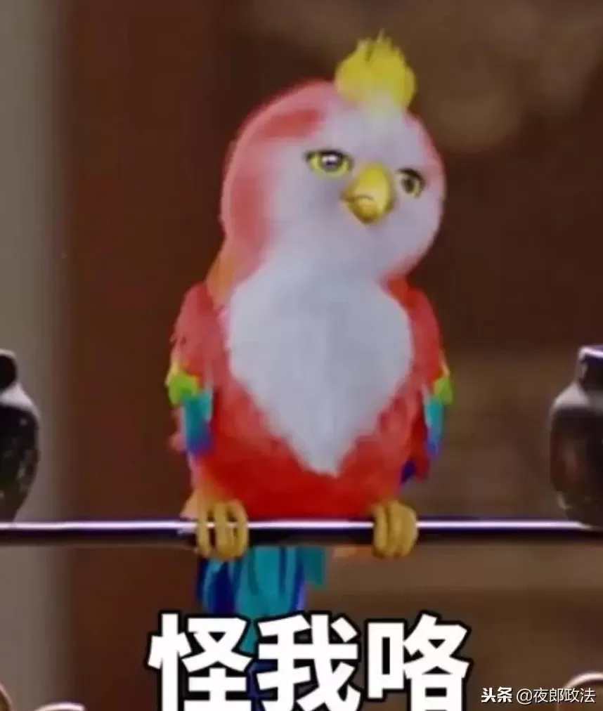 阿多普特香水 消费者选购进口商品如何不踩雷?海关给出这三招