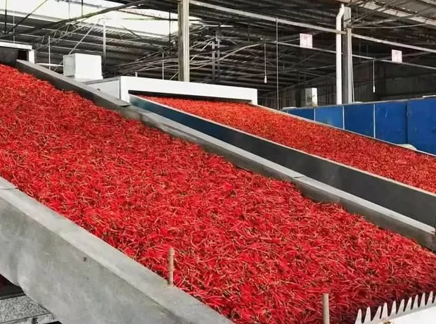 漯河市调料代理 锦绣小康路·出彩河南行漯河篇:小辣椒延伸产业链 擦亮调味料金招牌