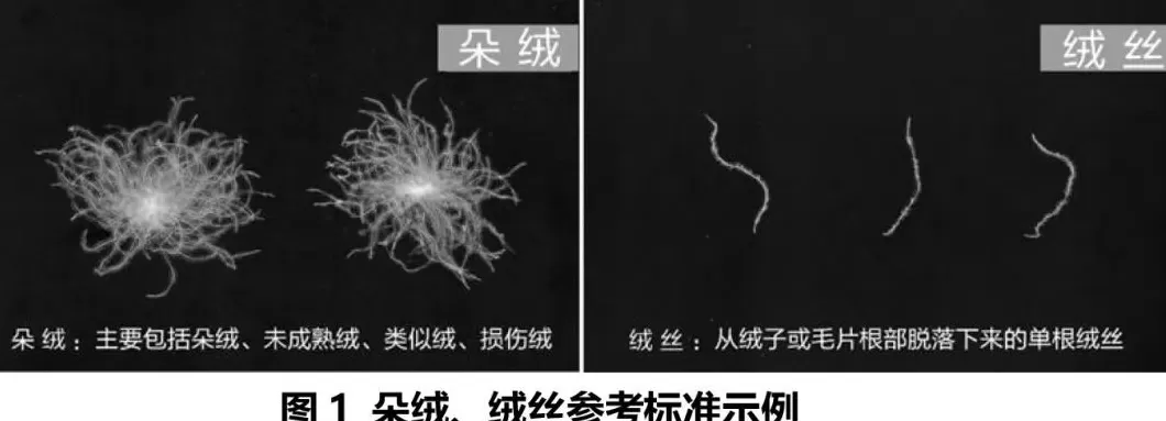 啄木鸟男装代理 啄木鸟创始人的发家史