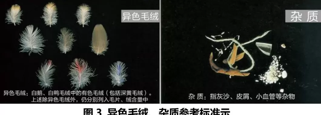 啄木鸟男装代理 啄木鸟创始人的发家史