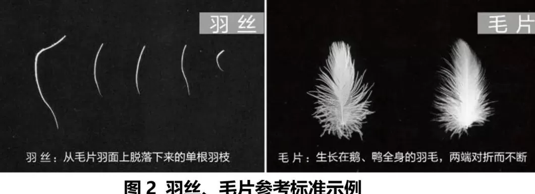 啄木鸟男装代理 啄木鸟创始人的发家史