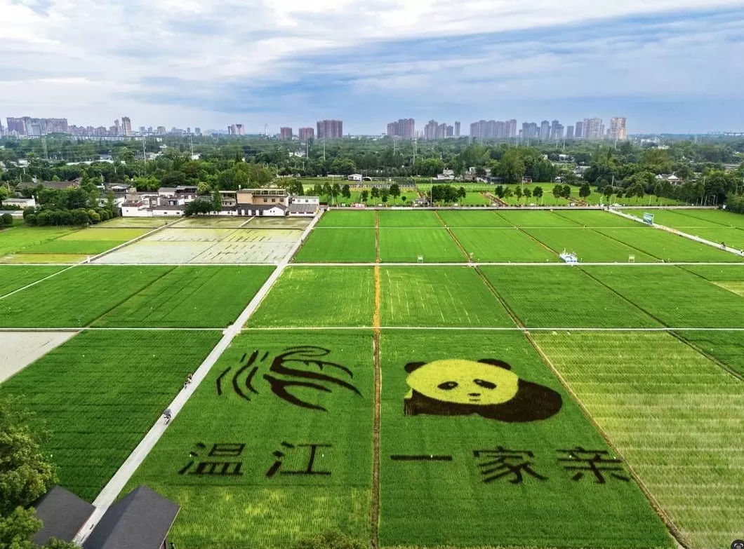 疯狂抄手(活力城店)怎么样 摩天·活力城:撩人心弦的迷人夜景