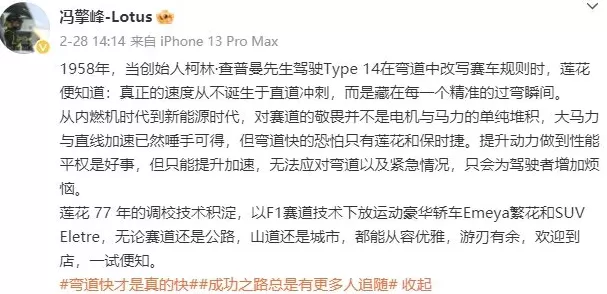 莲花调料代理 莲花控股:卖调料,不卖车,感冒药以及护肤品