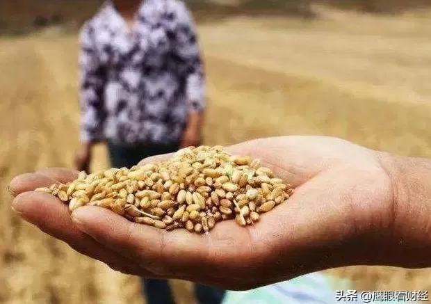 吃的是哪国文化:一说起西式快餐连锁店 汉堡统治世界!食物界的秦始皇,是如何『统一味觉』的?