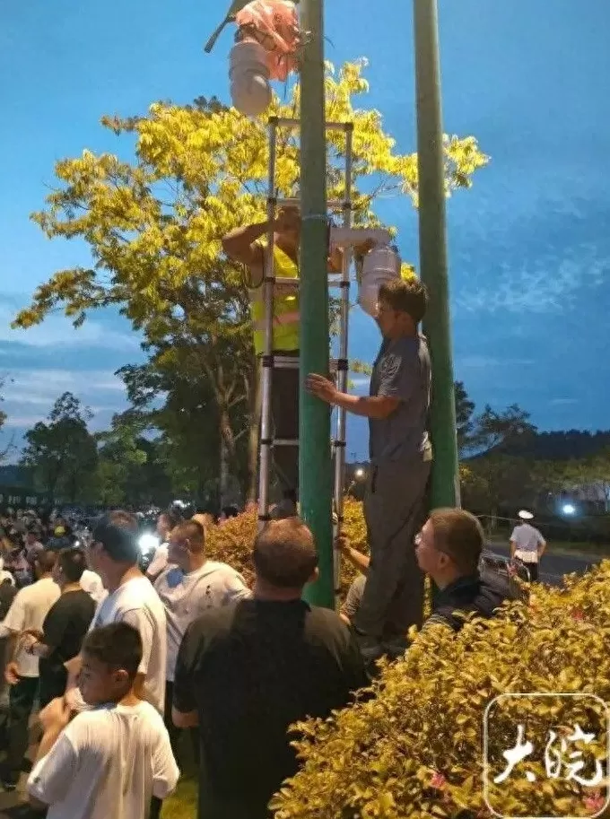 阜阳市好人家香肠调料代理 “鸡排哥”联手亲属摆出了5个摊位，隔壁阜阳摊主利润翻两番！