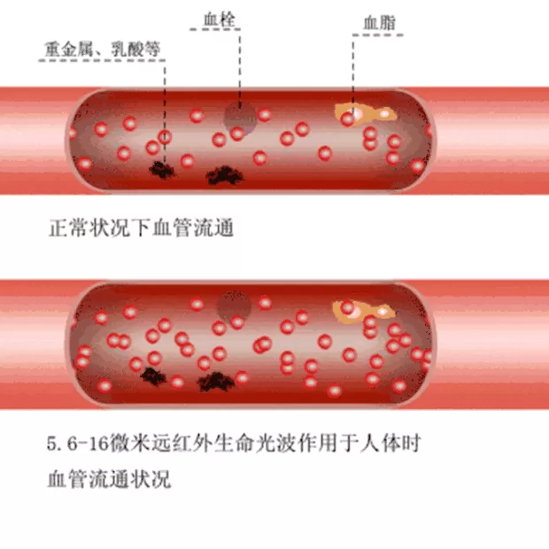 江苏加盟光波房汗蒸房 招商加盟荣光远外云地暖全国区域代理招商中