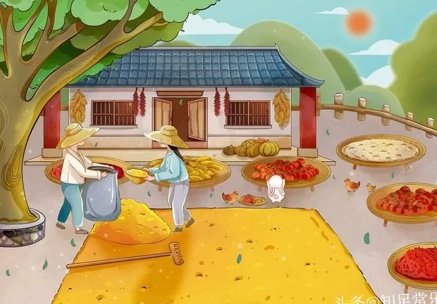 调料代理和杂粮那个利润大 夫妻俩打算开快餐店看过来,咖喱饭快餐系列配方。