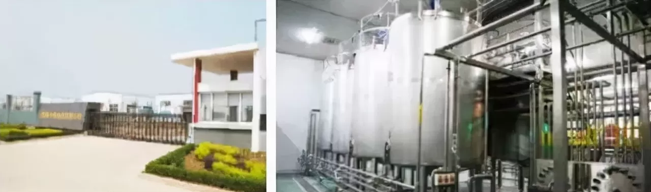 疯狂薯条加盟骗局是真的吗 蜜雪冰城“骗局”:年赚8亿,竟不是靠卖奶茶?