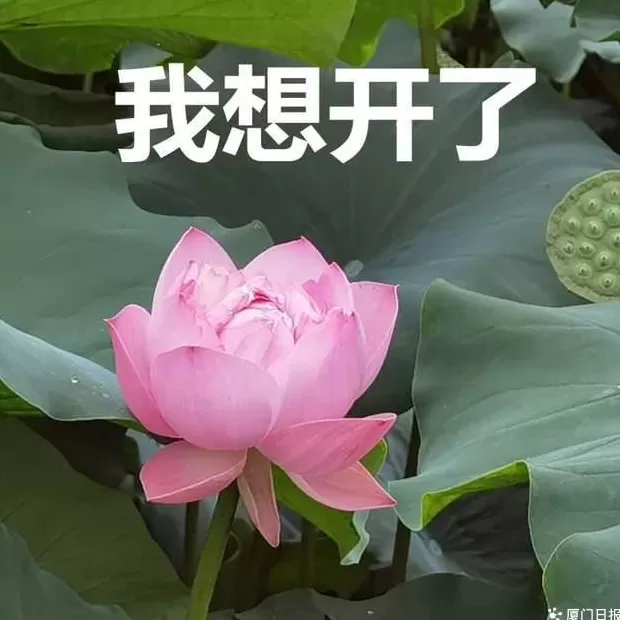 我想看疯狂的手抄报循环播放 史诗级“赶作业”大片已经开始!最让家长焦虑的是这几项作业……