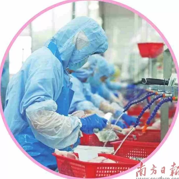 东菱电器招商 外贸企业试水“6·18”开拓内销新蓝海