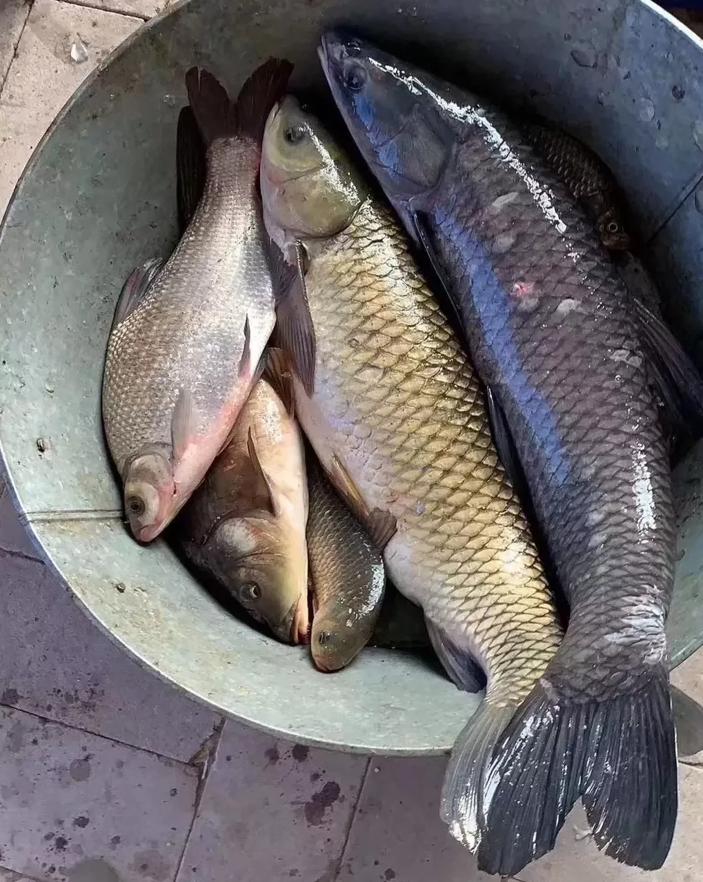 沙疗与汗蒸的区别所在 【便民】蒙医药浴疗养,带给你不一样的感受