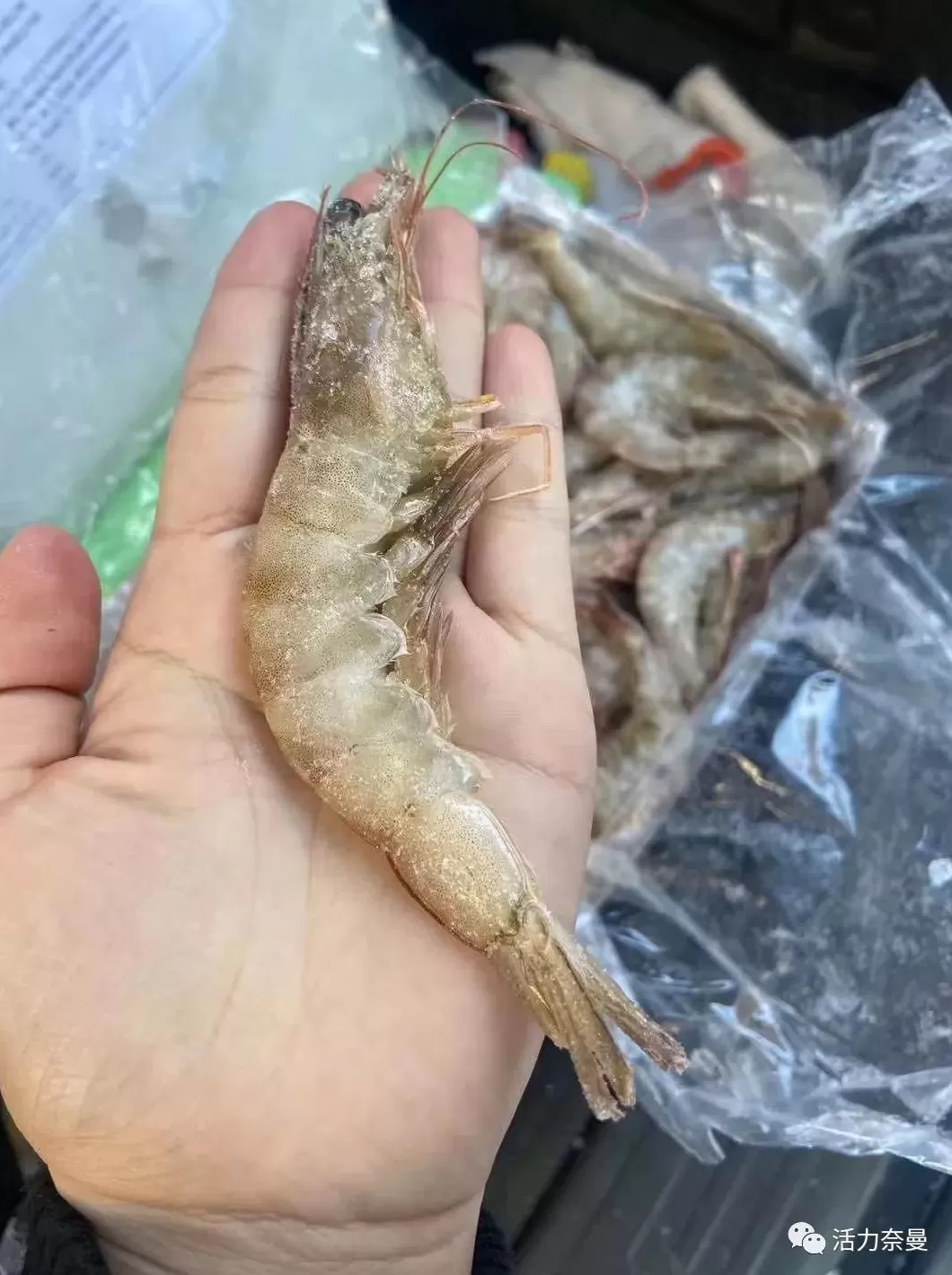 沙疗与汗蒸的区别所在 【便民】蒙医药浴疗养,带给你不一样的感受