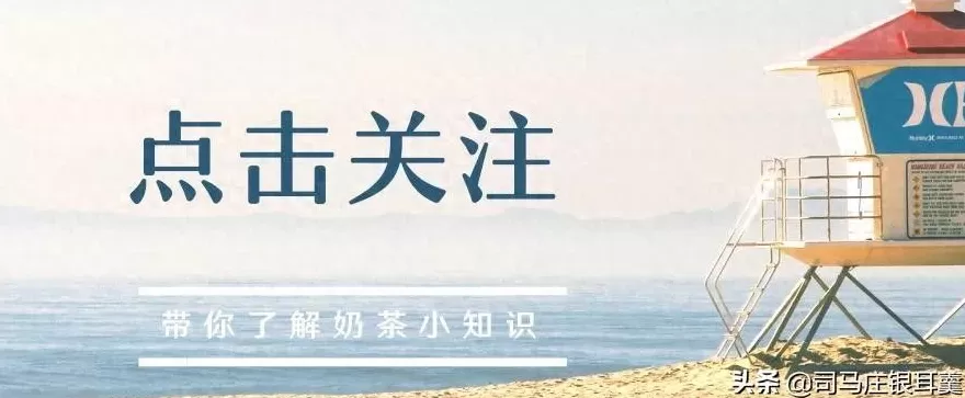 有个奶茶店用芒果饮品做招牌 这位奶茶店老板火了,价格便宜,奶茶零添加!网友强制全国连锁