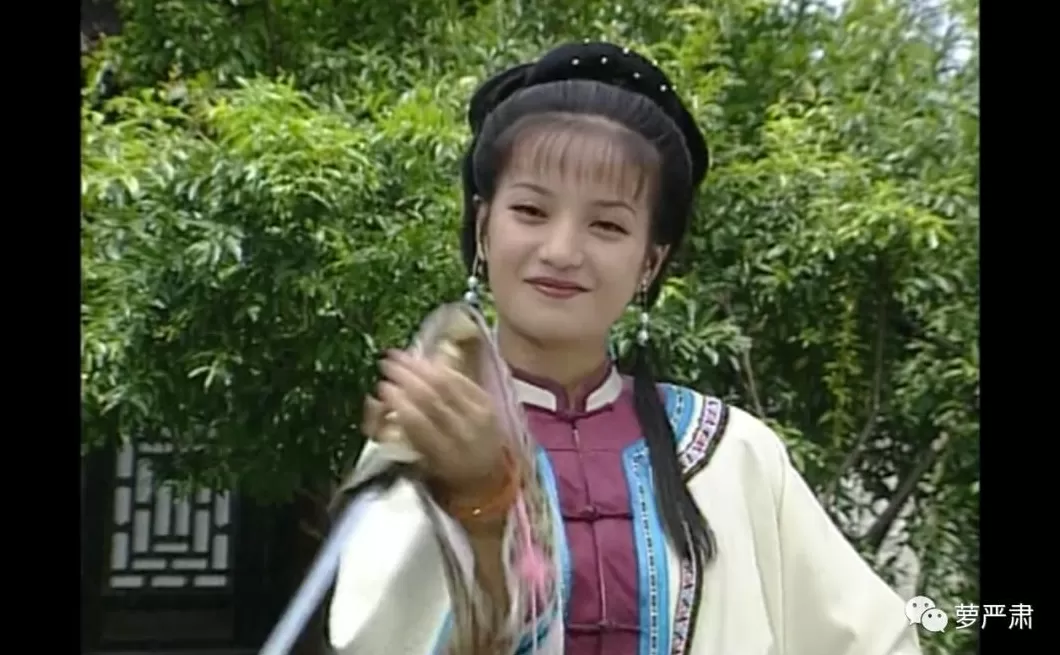 食盒记中的楚环 24年前的清装剧,13位女演员,人均绝色,竟找不到一个丑的