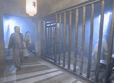 食盒记中的楚环 24年前的清装剧,13位女演员,人均绝色,竟找不到一个丑的