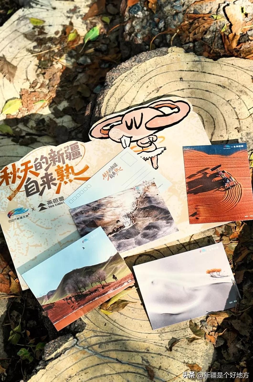 茶芭蕾饮品店 突破1000家!苏州首店上新!