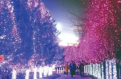 疯狂抄手电视剧 摩天·活力城：撩人心弦的迷人夜景
