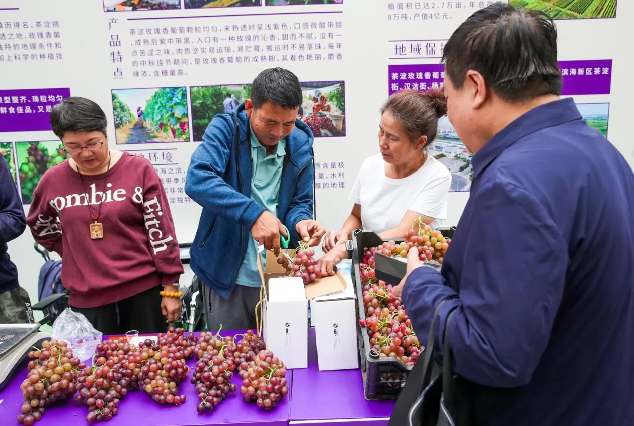 饮品店地推活动 瓶装饮市场打响“冰柜战争”,业务员推广一台可拿到200元奖励!