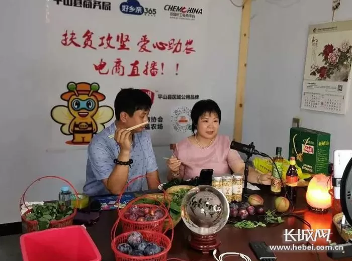 诚招加盟店 以模式创新赋能产业转型升级——访河北365集团党委书记,董事长于树中
