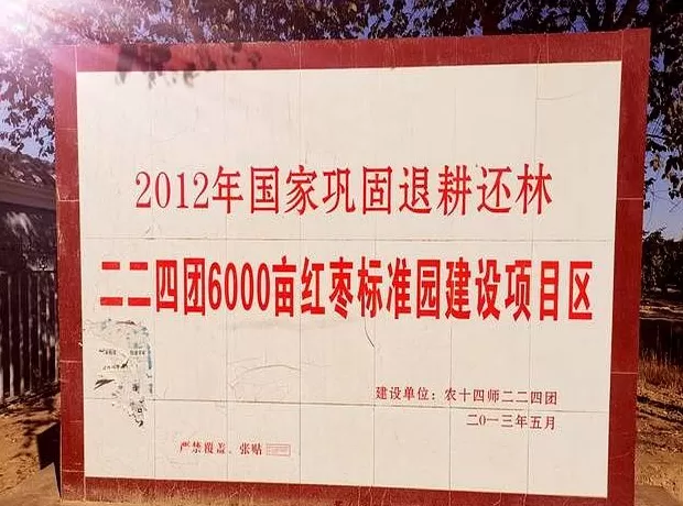红枣买哪一种的比较好 和田大枣,谁最正宗?我逛市场,进工厂,去枣园,辨别“四有”