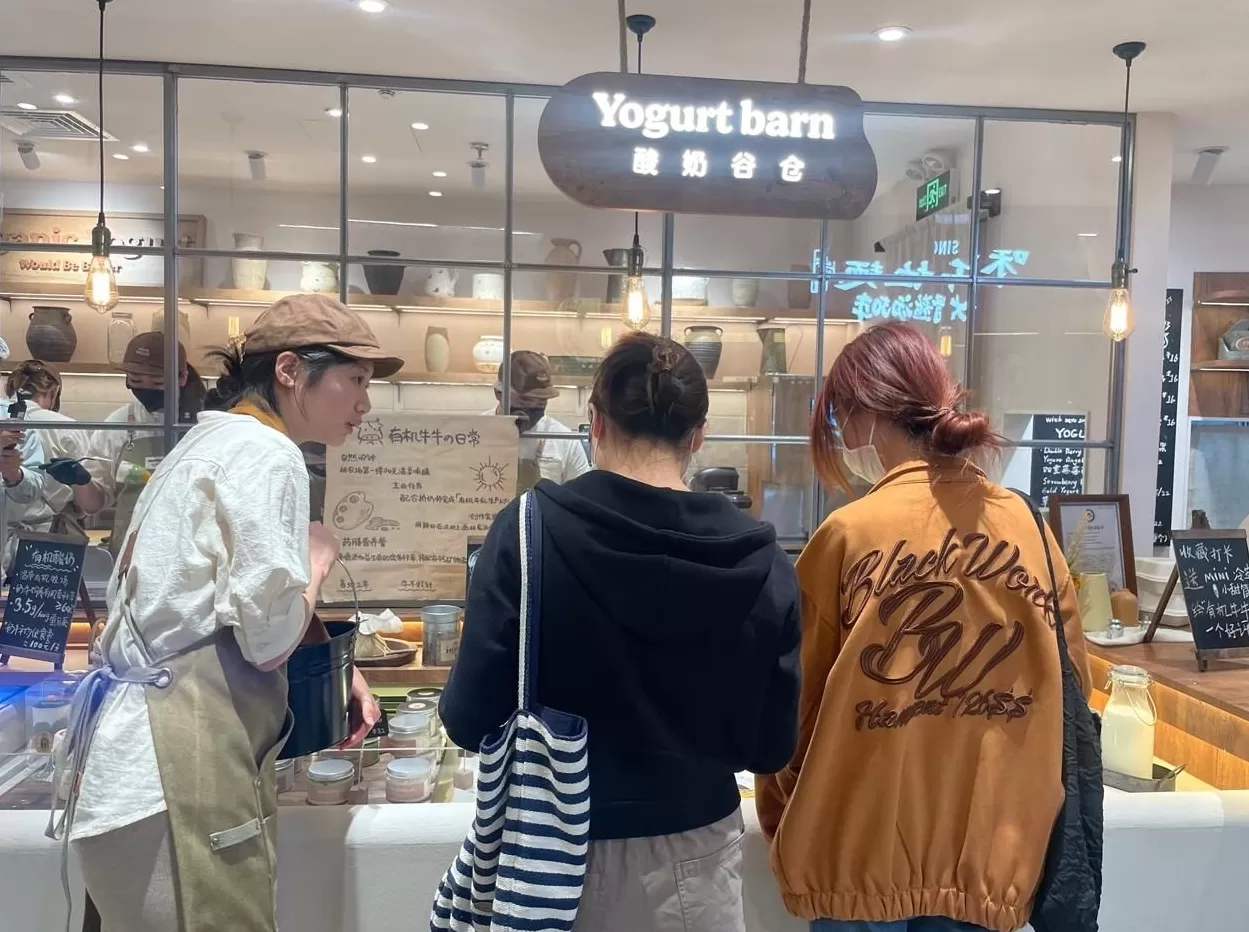 饮品店可以自制冷萃酸奶销售吗 升级有机酸奶原料!茉酸奶全新门店打造“酸奶新零售”新生态