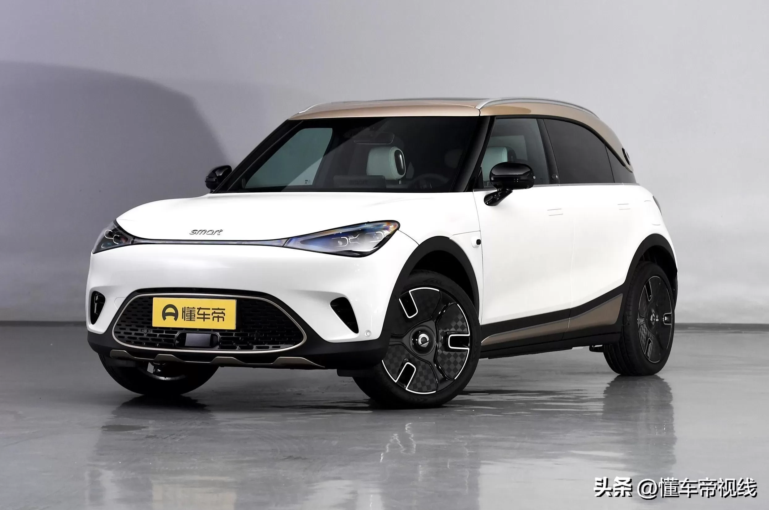 电动汽车代理多款车型 新车 限时价2389万元,电动MINI ACEMAN“盛装舞步”限定套装发布