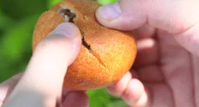 食盒记最新视频 24年前的清装剧,13位女演员,人均绝色,竟找不到一个丑的