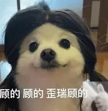 食盒记最新视频 24年前的清装剧,13位女演员,人均绝色,竟找不到一个丑的