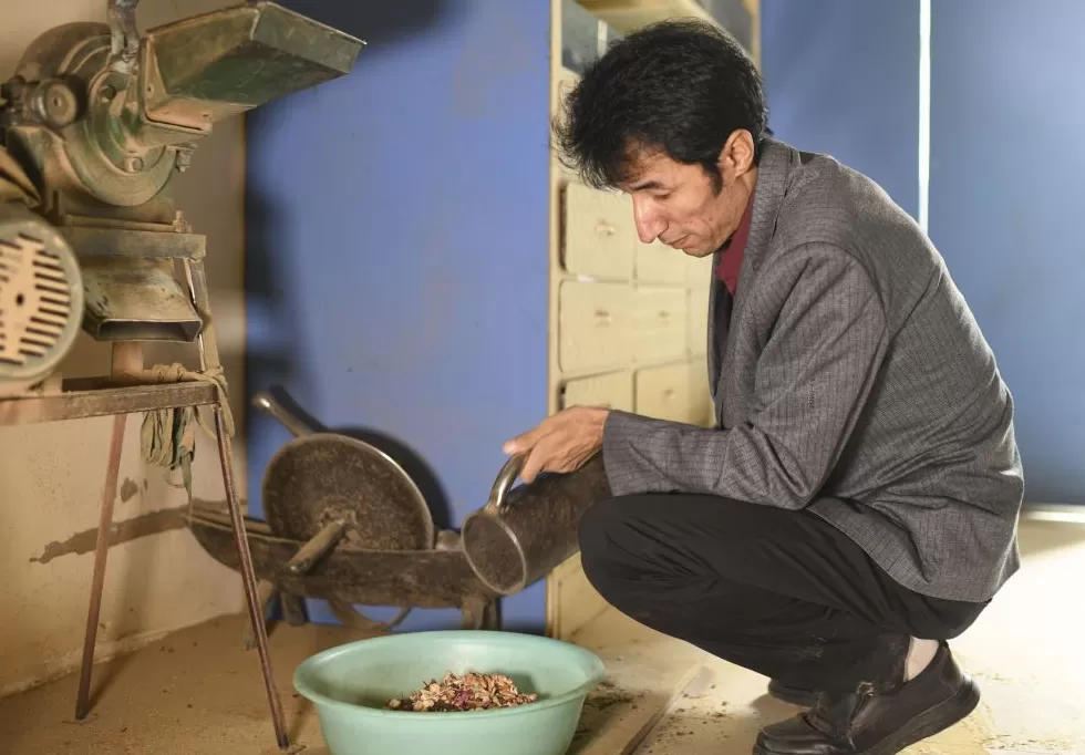 创办校园饮品店计划任务书600字 文化中国行·匠心记丨自治区周年庆系列之和田药茶:药食同源香丝路