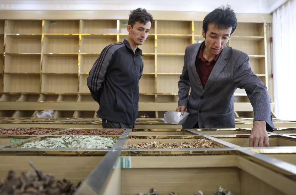 创办校园饮品店计划任务书600字 文化中国行·匠心记丨自治区周年庆系列之和田药茶:药食同源香丝路