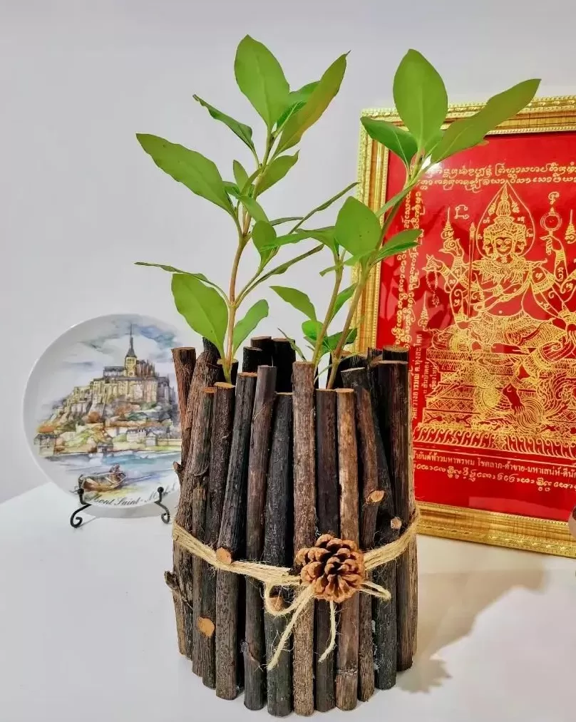 饮品店建筑抄绘 抄作业!上海超火饮品店设计案例:小空间创意布局引爆客流