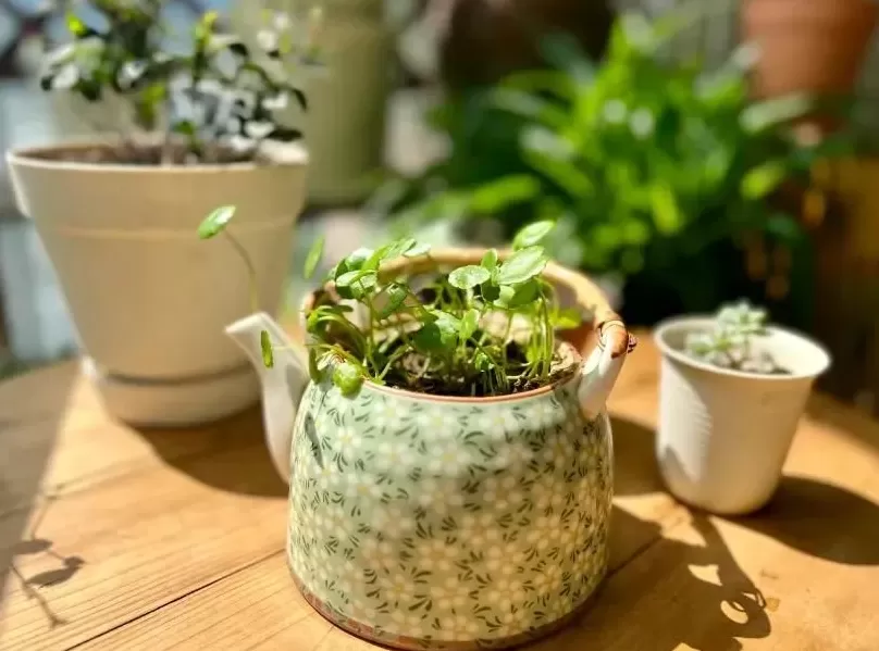 饮品店建筑抄绘 抄作业!上海超火饮品店设计案例:小空间创意布局引爆客流