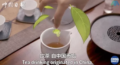 饮品店英语 水果茶,冷泡茶,奶盖茶这些新式茶饮如何用英文表达?