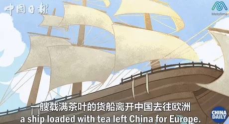 饮品店英语 水果茶,冷泡茶,奶盖茶这些新式茶饮如何用英文表达?