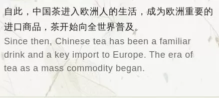 饮品店英语 水果茶,冷泡茶,奶盖茶这些新式茶饮如何用英文表达?