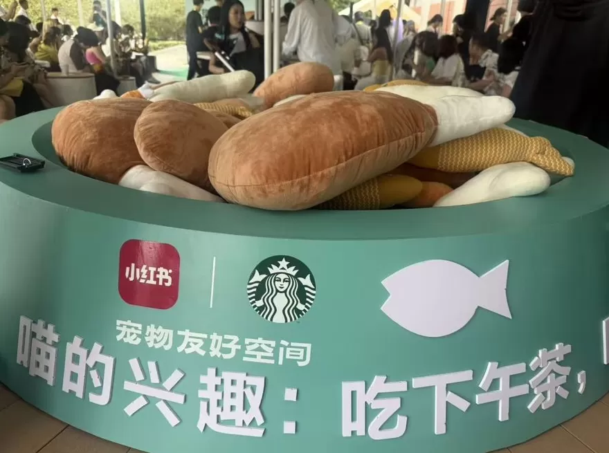 饮品店管理计划 如何经营一家奶茶店?奶茶店经营全流程分享
